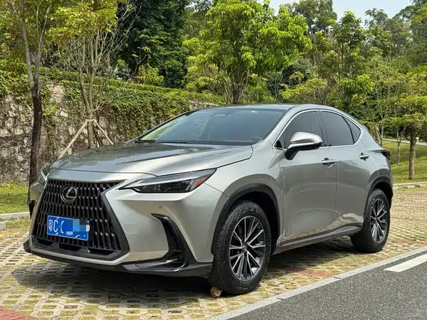 Lexus NX 2022