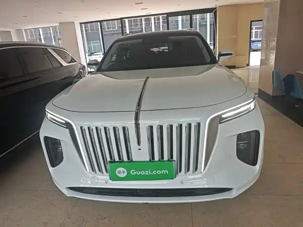 Hongqi E-HS9 2022, фото 3