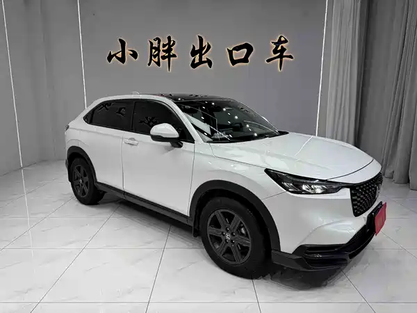 Honda XR-V 2023, фото 4