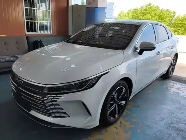 BYD Destroyer 05 2022