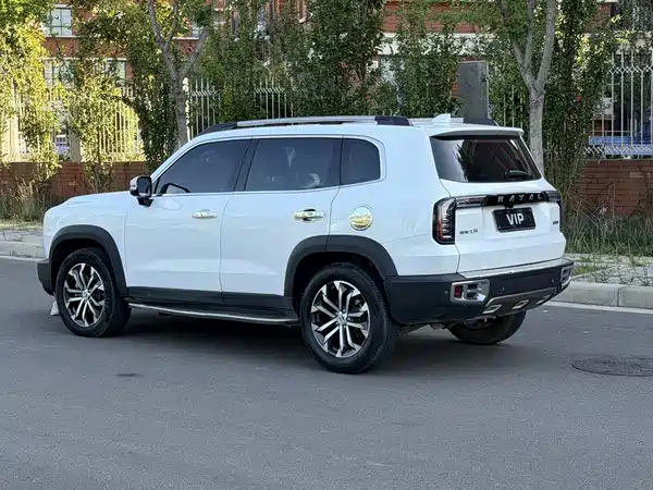 Haval Dargo 2021, фото 4