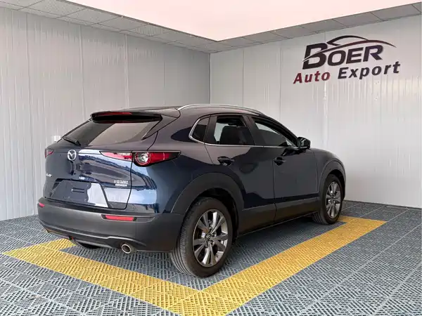 Mazda CX-30 2021, фото 6