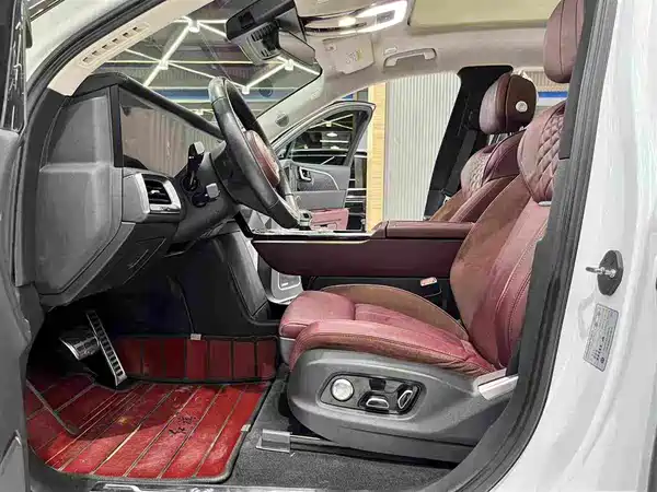 Hongqi E-HS9 2022, фото 3