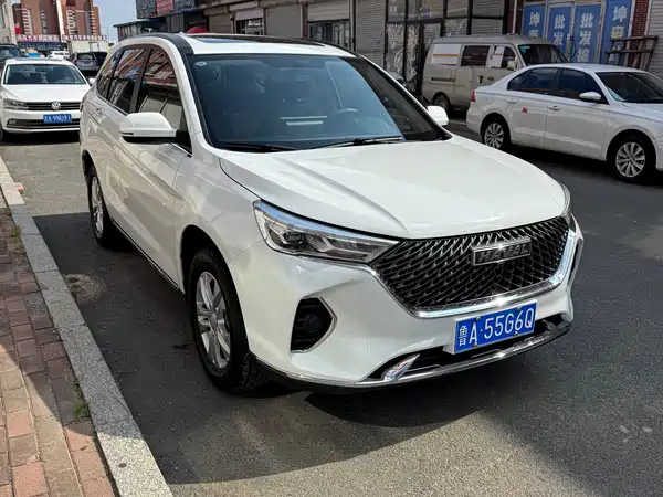 Haval M6 2021, фото 3