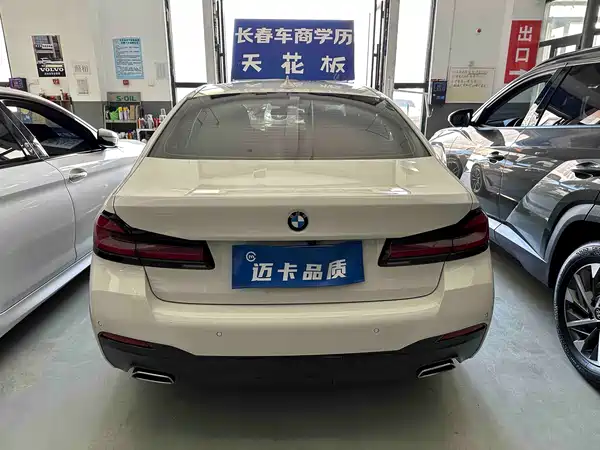 BMW 5 Series 2022, фото 11