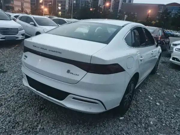  Qin PLUS