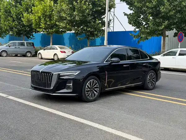 Hongqi H5 2023, фото 6