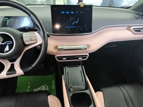 BYD Seagull 2024, фото 12