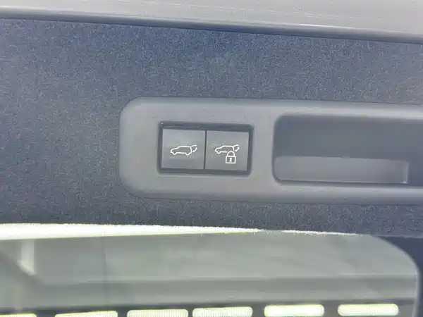 Lexus RX 2020, фото 18