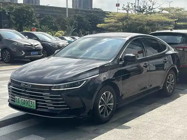 BYD Destroyer 05 2024