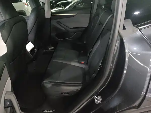 Tesla Model Y 2025, фото 16