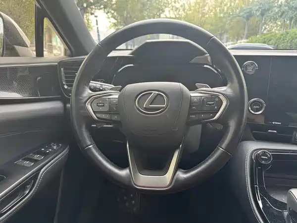 Lexus NX 2022, фото 4