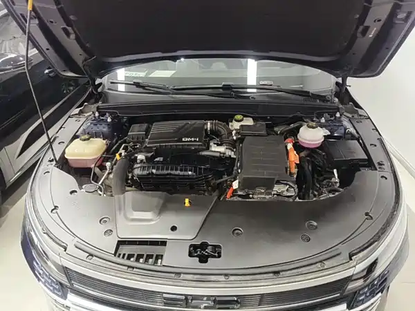 BYD Destroyer 05 2023, фото 15