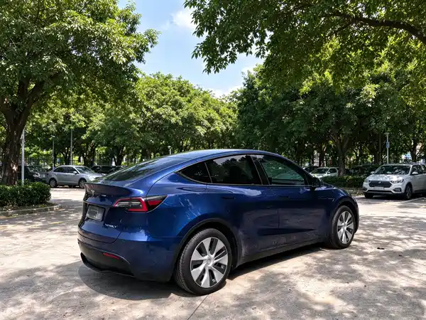 Tesla Model Y 2022, фото 3