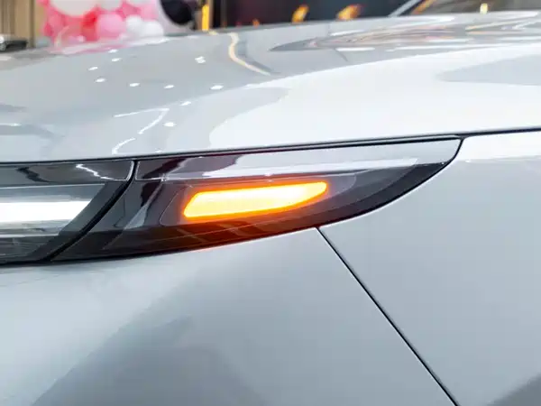 Li Auto L9 2022, фото 8