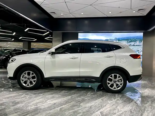 Haval H6 2021, фото 8