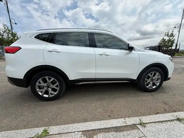 Haval H6 2021, фото 8