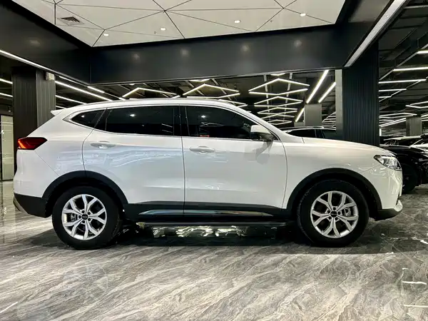 Haval H6 2021, фото 4