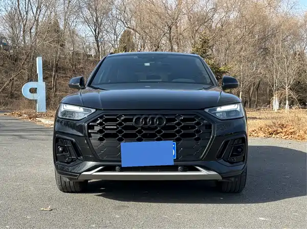 Audi Q5L 2024, фото 2