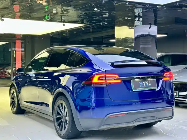 Tesla Model X 2023, фото 6