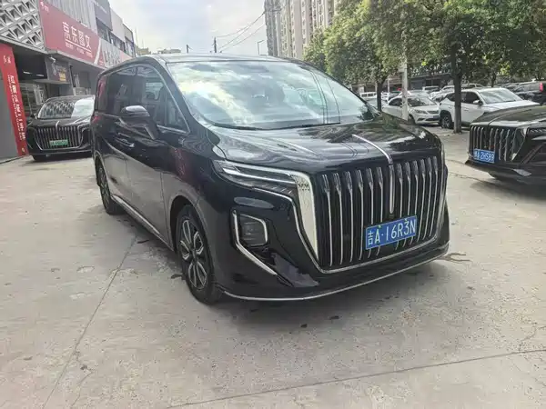 Hongqi HQ9 2023, фото 2