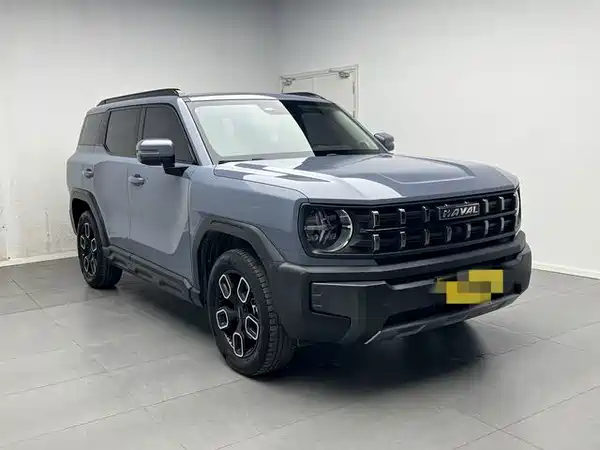 Haval Cool Dog 2022, фото 3