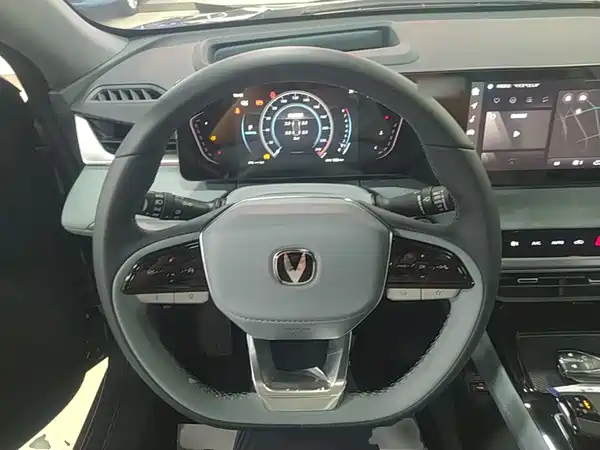 Changan Ruicheng PLUS 2023, фото 10