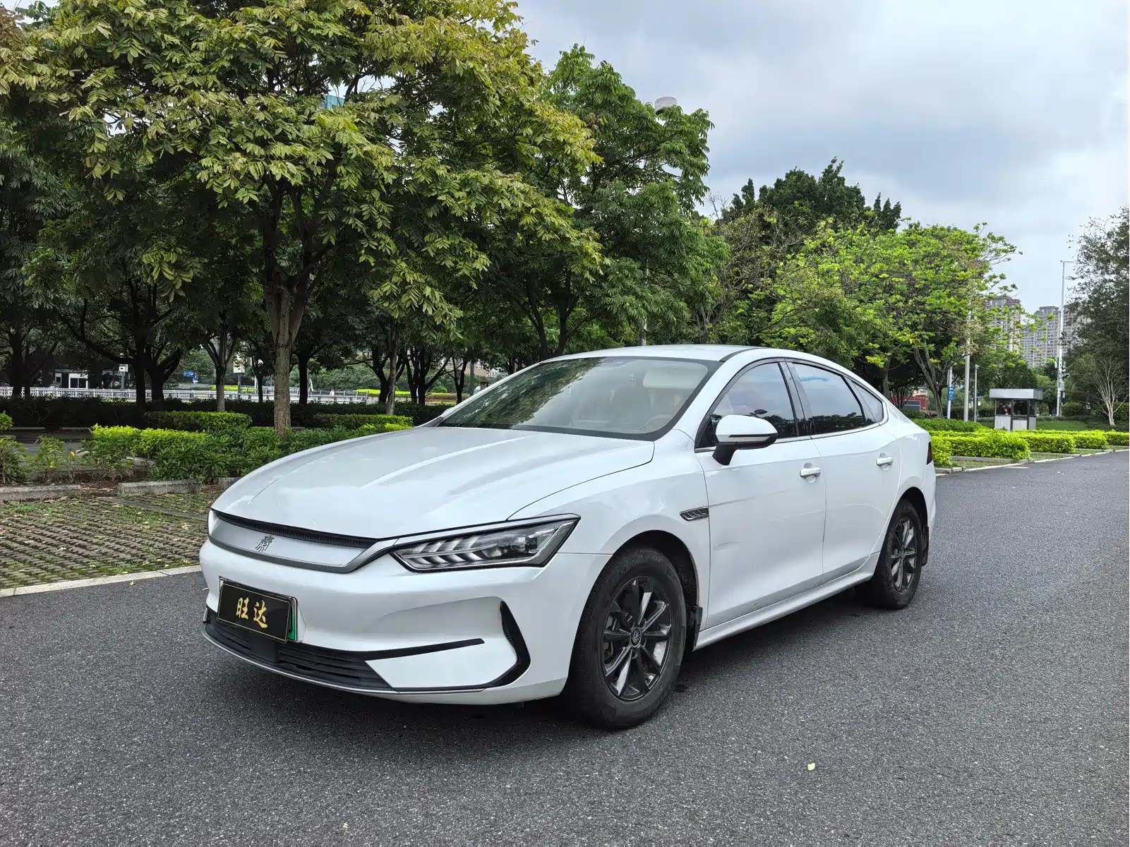  Qin PLUS