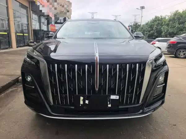 Hongqi HS3 PHEV 2025, фото 3