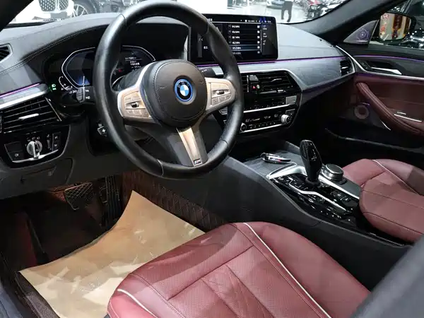 BMW 5 Series PHEV 2022, фото 6