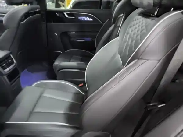 Hongqi E-HS9 2022, фото 17