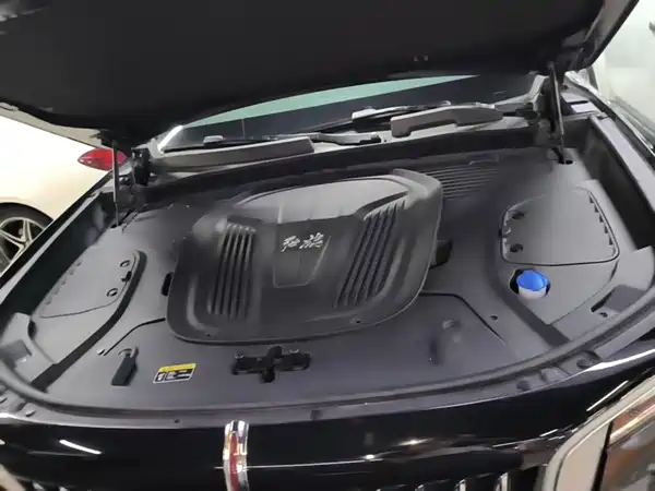 Hongqi E-HS9 2022, фото 20