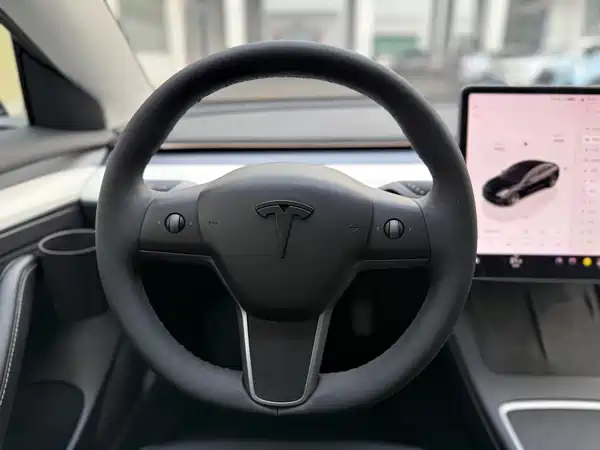 Tesla Model 3 2022, фото 15