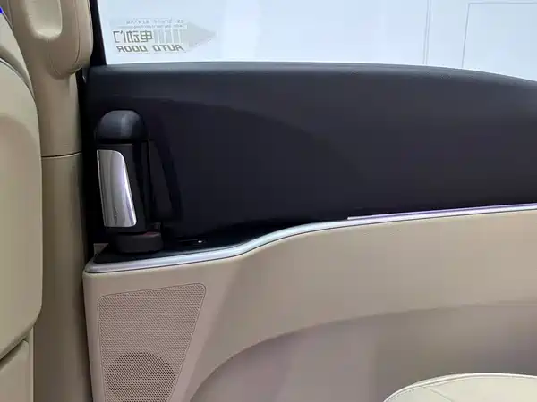 Buick GL8 2022, фото 14