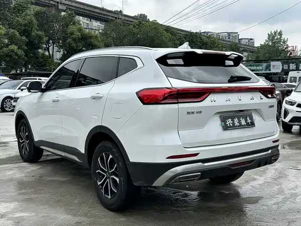 Haval H6 2023, фото 5