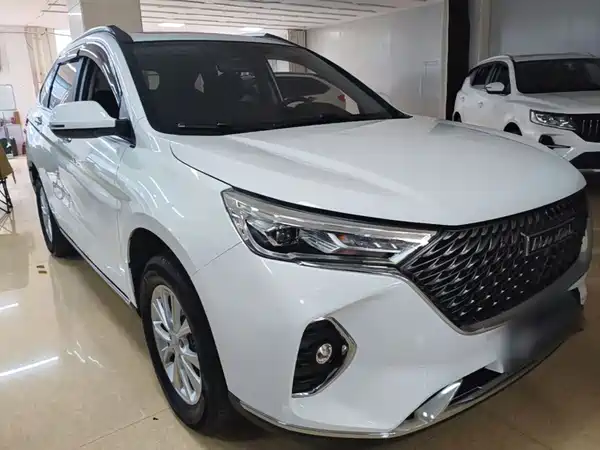 Haval M6 2021, фото 21