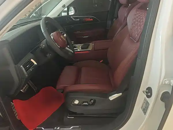 Hongqi E-HS9 2022, фото 15