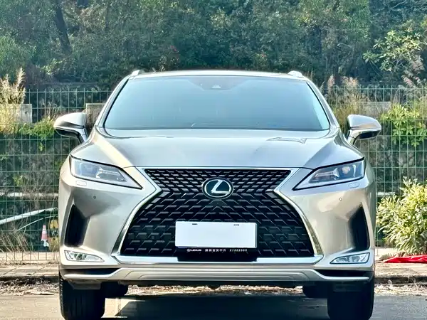 Lexus RX 2020, фото 2