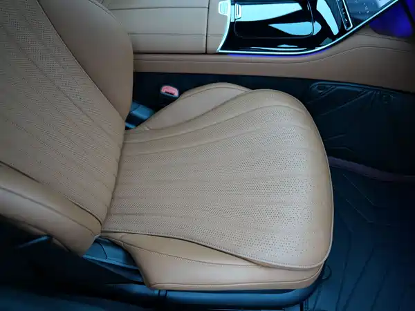Mercedes-Benz S-Class 2022, фото 21