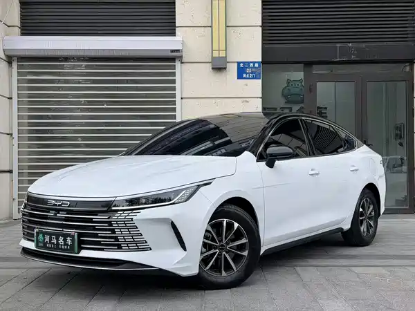 BYD Destroyer 05 2024