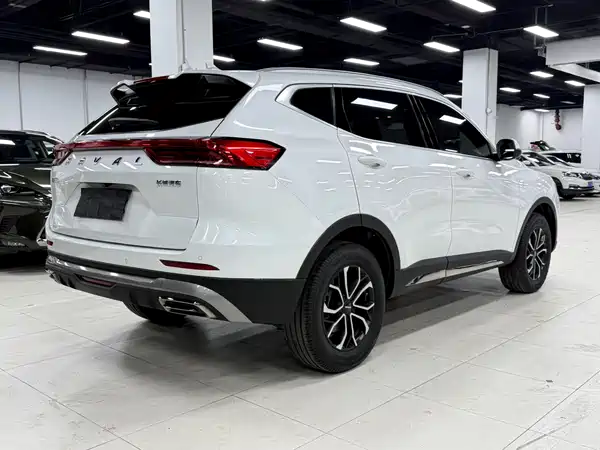 Haval H6 2023, фото 4