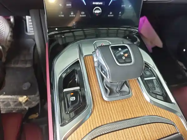 Hongqi E-HS9 2022, фото 14