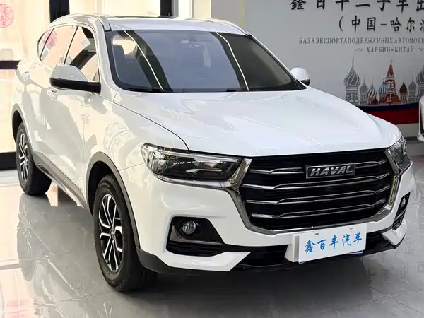 Haval H6 2021, фото 3