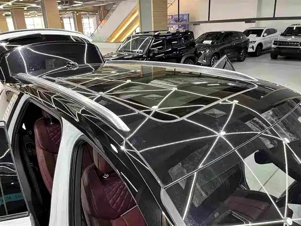 Hongqi E-HS9 2022, фото 29