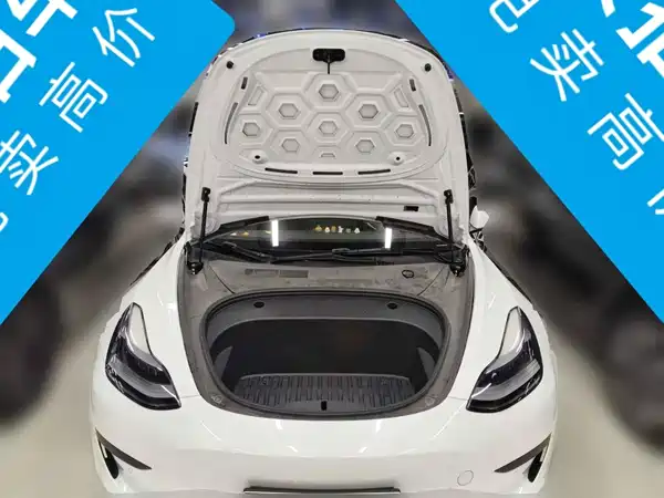 Tesla Model 3 2021, фото 3
