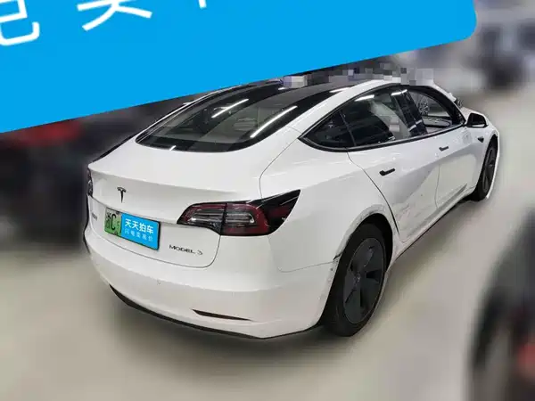 Tesla Model 3 2021, фото 2