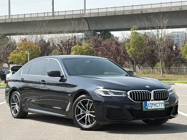 BMW 5 Series PHEV 2022, фото 16