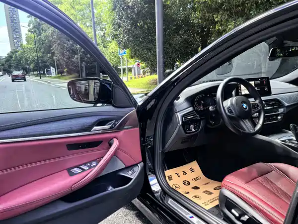 BMW 5 Series 2022, фото 11