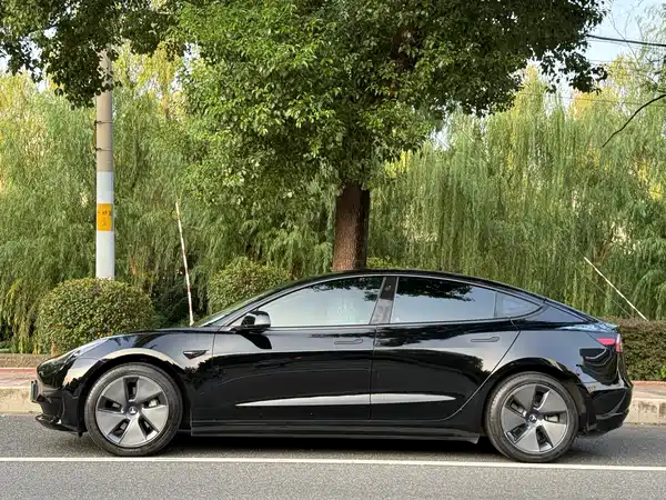 Tesla Model 3 2022, фото 2